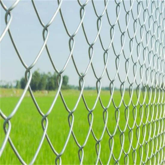 افضل مقاول تركيب شبوك في شمال الرياض وجميع مناطق المملكه